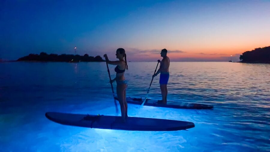 1.5-hour Clear Kayak Rental: Discover the Underwater World - Who This Clear Kayak Rental Fits Best