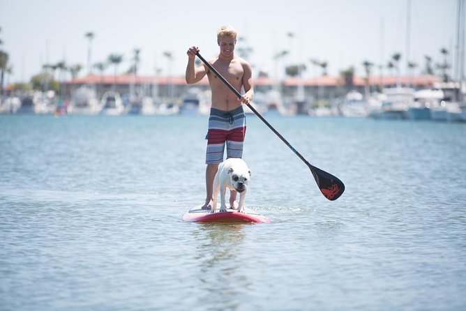 1.5 Hour Paddle Board Rental with Instruction - Key Things I’d Zoom In On
