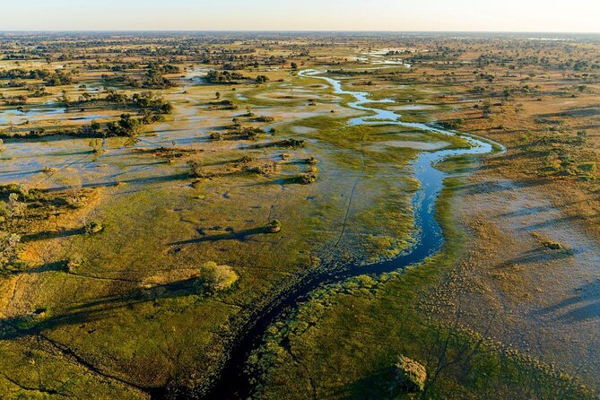 1 Day Okavango Delta Mokoro/Canoe Daytrip - Mokoro time in the NG32 Concession: why this feels different