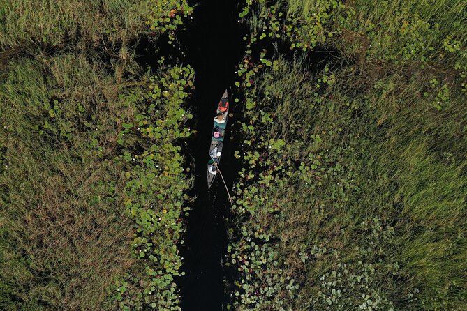 1 Day Okavango Delta Mokoro/Canoe Daytrip - Lunch on the island and the nature walk: where sightings can pop up