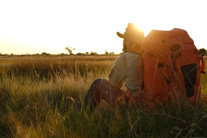 1 Day Okavango Delta Mokoro/Canoe Daytrip - Wildlife odds: elephants, hippos, birds, and why results vary