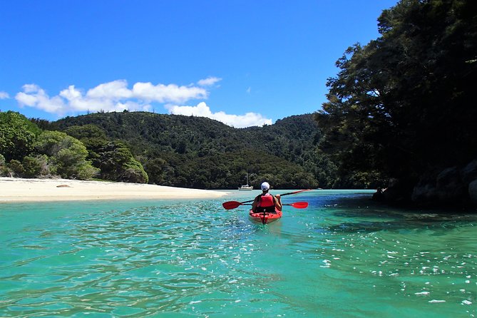 1 Day Sea Kayak Rental - Key highlights worth planning around