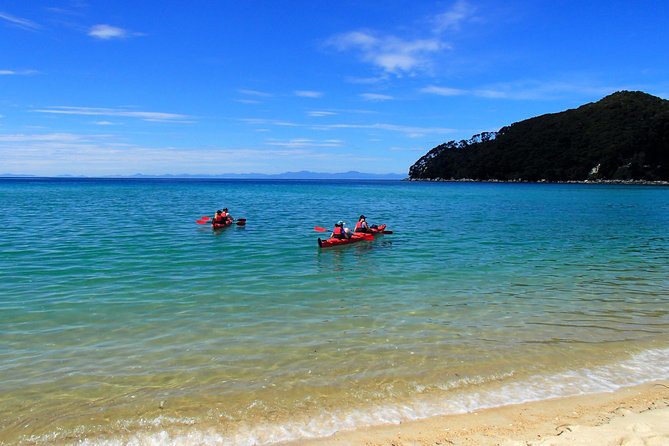 1 Day Sea Kayak Rental - Mārahau at 8:30am: Simple start, real water time