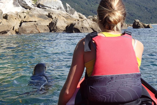 1 Day Sea Kayak Rental - Wildlife payoffs: seals and native birdsong