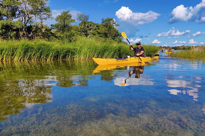 1-Day Small-Group Stockholm Archipelago Kayak Tour - Lunch on a Deserted Island: Campfire Cooking and Swedish Snacks