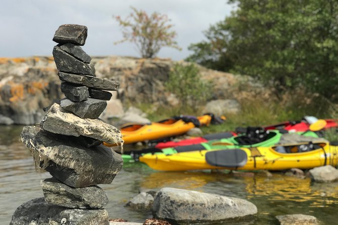 1-Day Small-Group Stockholm Archipelago Kayak Tour - Wildlife on the Baltic: Sea Eagles, Geese, and Cormorants