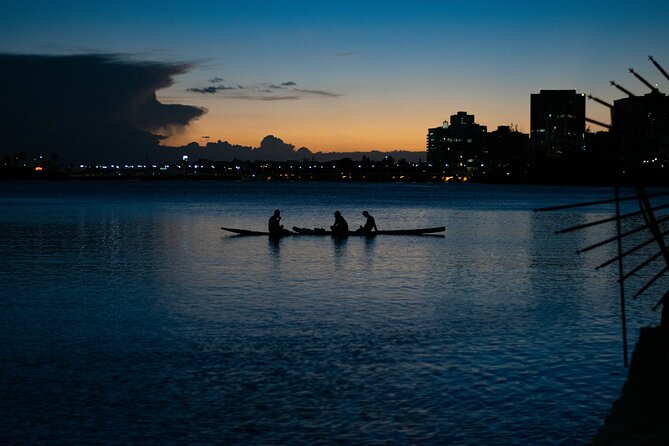 1-Hour Condado Lagoon Paddleboard Rental in San Juan - Wildlife spotting in the lagoon: manatees, turtles, rays, and starfish