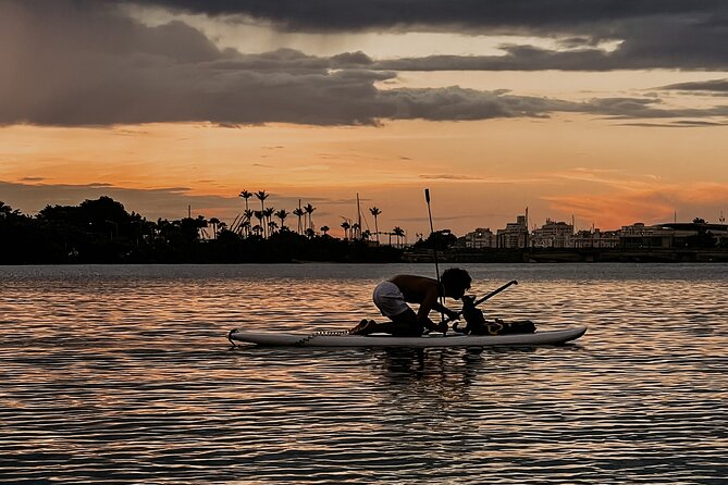 1-Hour Condado Lagoon Paddleboard Rental in San Juan - Price and value: is $32 for 1 hour a fair deal?