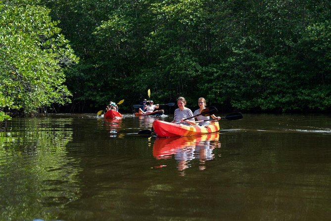 1 Hour Mangrove Tour From Lembongan with Kayak, Paddle, or Boat - Kayak Through Nusa Lembongan Mangroves: What You’re Really Buying