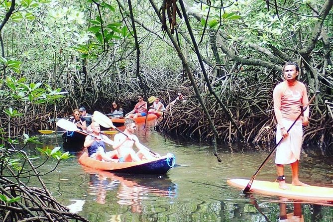 1 Hour Mangrove Tour From Lembongan with Kayak, Paddle, or Boat - The One-Hour Timing: Perfect for a Short Day, With a Buffer