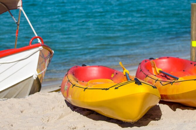 1 Hour Single or Double Kayak Rental to the Nth Bribie Island - The East Coast + Coral Sea Side: The 200 m Walk You’ll Be Glad You Do