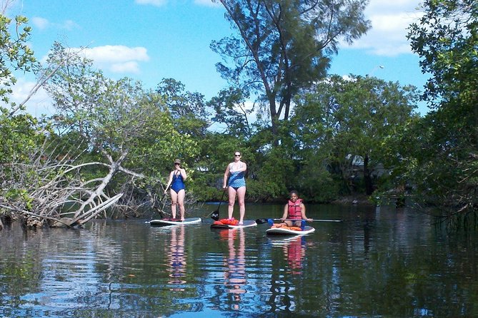 1 Hour Stand Up Paddle Board Lesson for Beginners with 1 on 1 Instructor Guide - Best For Adults, Kids, and Nervous First-Timers