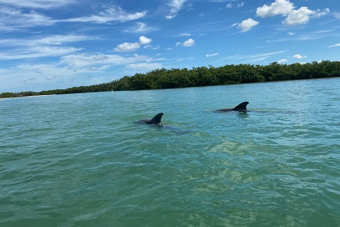 2.5-Hour Guided Group Kayak Tour on Big Hickory Pass - Estero Bay Kayaking From Big Hickory Pass: Why This One Works