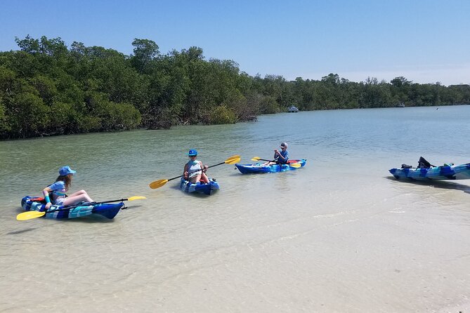2.5-Hour Guided Group Kayak Tour on Big Hickory Pass - Price and Value: Is $55 Worth It?
