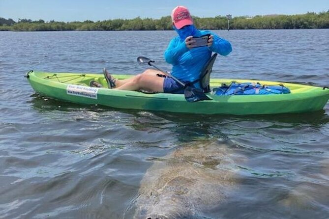 2.5 Hour Kayaking with Manatee and History Tour in Tarpon Springs - Paddling comfort and safety: gear included, but bring your own prep
