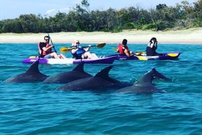 2-Hour Dolphin Kayak & Snorkel Tour on the Broadwater - Getting kitted out: kayak skills and snorkel setup with the guide