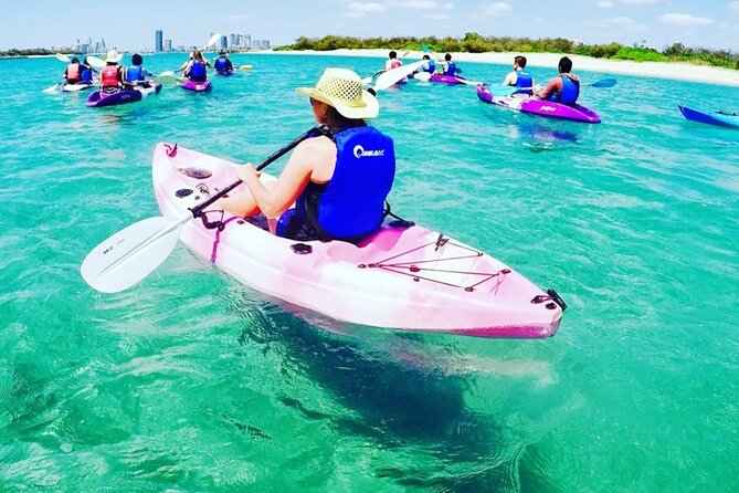 2-Hour Dolphin Kayak & Snorkel Tour on the Broadwater - Should you book the Dolphin Kayak & Snorkel on the Broadwater?