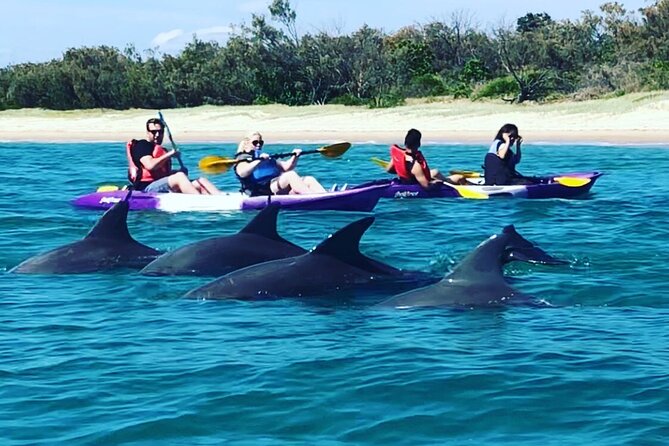 2-Hour Dolphin Kayak & Snorkel Tour on the Broadwater - Getting kitted out: kayak skills and snorkel setup with the guide