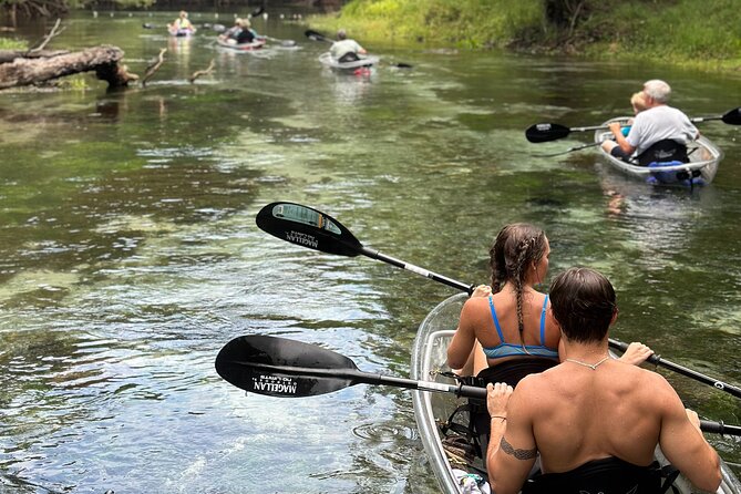 2 Hour Glass Bottom Guided Kayak Eco Tour in Gilchrist Blue - Clear-Bottom Kayaking on the Santa Fe River: What You’re Really Booking