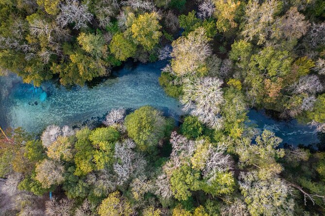 2 Hour Glass Bottom Guided Kayak Eco Tour in Gilchrist Blue - Price and Value: Is $76.56 for 2 Hours a Good Deal?