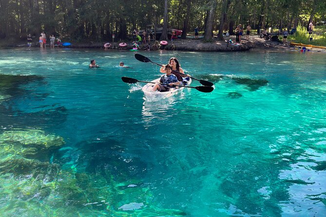 2 Hour Glass Bottom Guided Kayak Eco Tour in Gilchrist Blue - Timing, Meeting Point, and the One Logistics Tip That Saves Trips