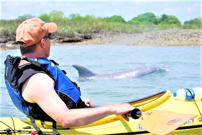 2-Hour Guided Kayak Eco Tour in Charleston - Quick reasons you’ll enjoy this Charleston kayak eco tour