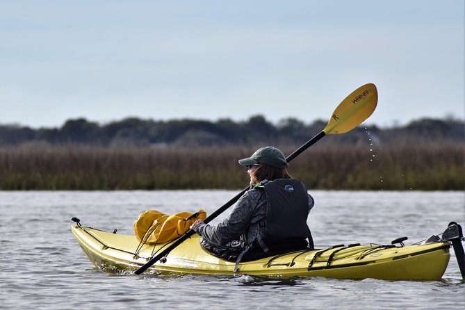 2-Hour Guided Kayak Eco Tour in Charleston - Why Charleston’s tidal marshes feel like nature’s own theater