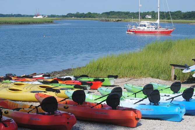 2-Hour Guided Kayak Eco Tour in Charleston - What your guide teaches: marsh ecosystems in plain, useful terms