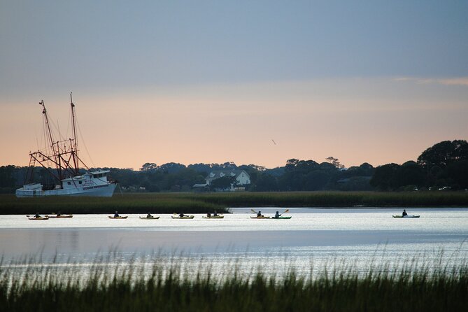 2-Hour Guided Kayak Eco Tour in Charleston - Wildlife expectations: how to get the best odds without forcing it