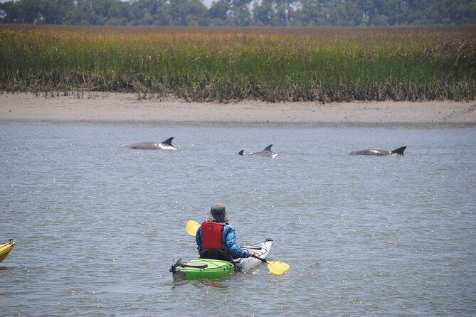 2-Hour Guided Kayak Eco Tour in Charleston - Value check: what’s included and why the guidance is the real payoff