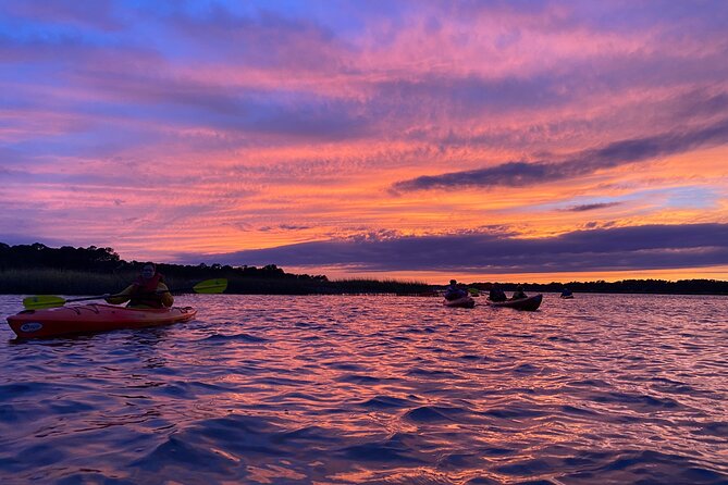 2-Hour Hilton Head Guided Kayak Nature Tour - Wildlife spotting in the salt marsh: birds, dolphins, and more chances than you think
