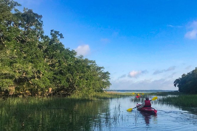 2-Hour Hilton Head Guided Kayak Nature Tour - Included gear and what you’re paying for (why $47 feels fair)