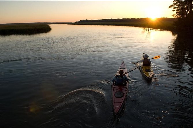 2-Hour Hilton Head Guided Kayak Nature Tour - Who should book this kayak nature tour (and who might want a different plan)