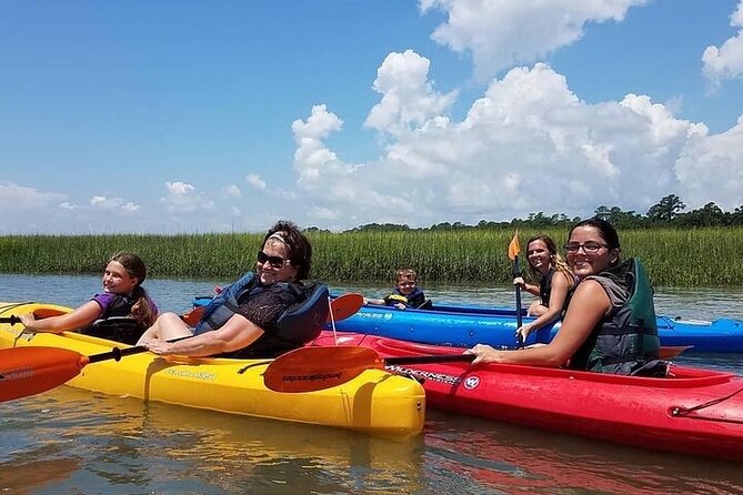 2 Hour Kayak Hilton Head Dolphin and Nature Tour - Wildlife chances in Broad Creek: dolphins are the main reason
