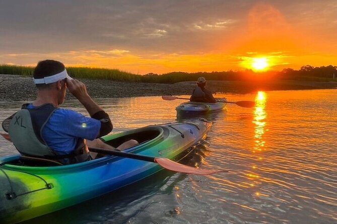 2 Hour Kayak Hilton Head Dolphin and Nature Tour - What to bring (and what helps on a hot coastal day)