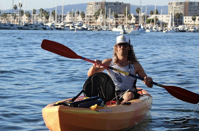 2-Hour Kayak or Paddleboard with Sea Lions in Marina del Rey - Sea lions in the wild: how to manage expectations (and still get a great trip)