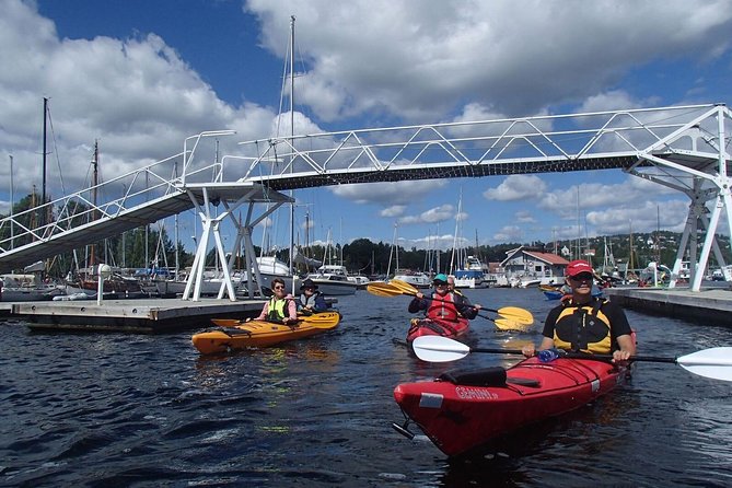 2- hour kayak trip on the Oslo Fjord - Wildlife and calm moments: what to expect on the water