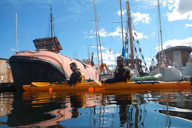 2- hour kayak trip on the Oslo Fjord - Price and value: does $117.91 make sense?