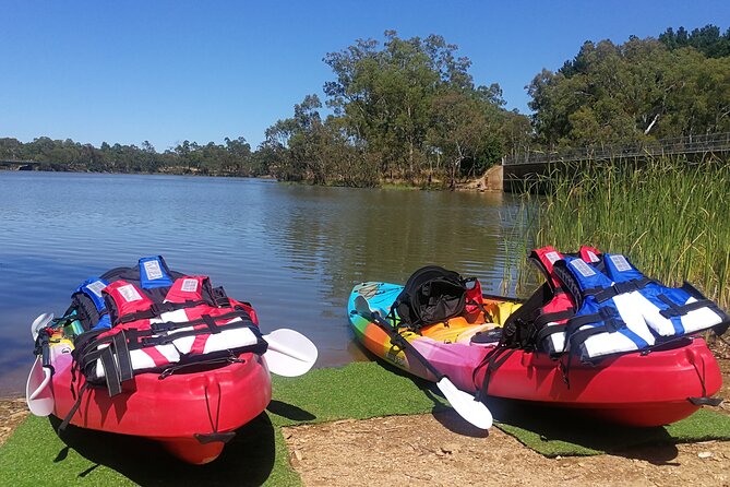 2-Hour Kayaking Experience in Barossa Valley - Key highlights I’d pencil in