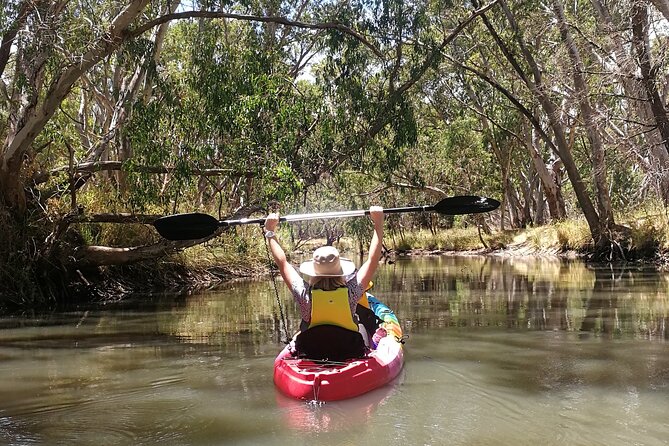 2-Hour Kayaking Experience in Barossa Valley - Where you’ll paddle: Warren Reservoir in Mount Crawford Forest