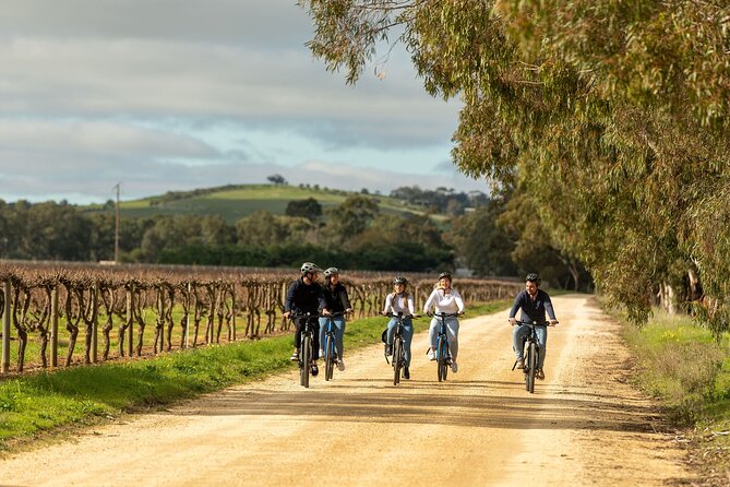 2-Hour Kayaking Experience in Barossa Valley - What your 2 hours on the water actually feels like