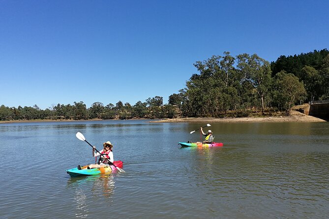 2-Hour Kayaking Experience in Barossa Valley - Weather, timing, and the one rule that really controls the day