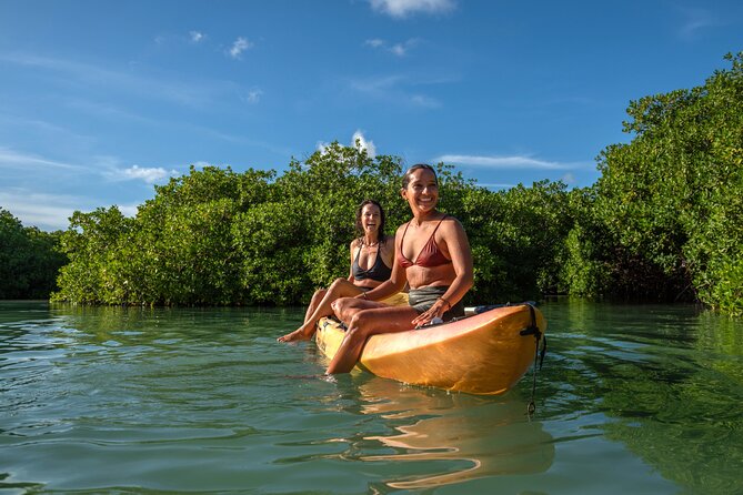 2 Hour Mangrove Kayak and Snorkel Tour - Key highlights I’d plan around