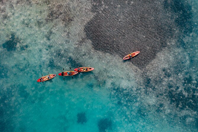 2 Hour Mangrove Kayak and Snorkel Tour - Why Lac Bay Kayak-Only Access Matters on Bonaire