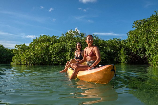2 Hour Mangrove Kayak and Snorkel Tour - What the Certified Guide Adds (Especially If It’s Trevor)