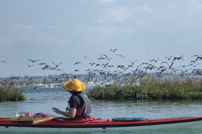 2 Hour Night Kayak Tour in Venice, premium experience with sunset - Calle Tornielli Start: Gear, Tutorial, and a Smooth First Paddle