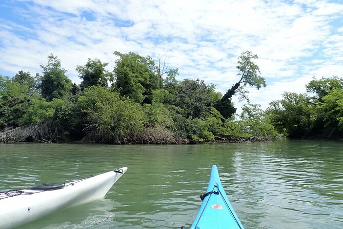 2 Hour Night Kayak Tour in Venice, premium experience with sunset - Value Check: Does $168.20 for 2 Hours Make Sense?
