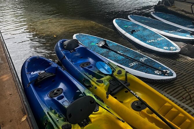 2 hour tandem kayak rental at our private launch area in Hale'iwa - On the Water: Shared Paddling and Sea Turtle Watching
