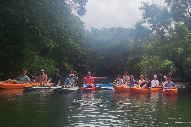 2 hour tandem kayak rental at our private launch area in Hale'iwa - Private Launch Area and Staff Help: The Fastest Way to Feel Comfortable