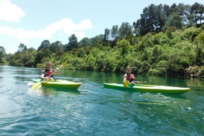 2-Hour Waikato River Guided Kayak Trip from Taupo - The guide experience: route clarity and safety without fuss